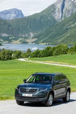Skoda Kodiaq 2016 года (WW)